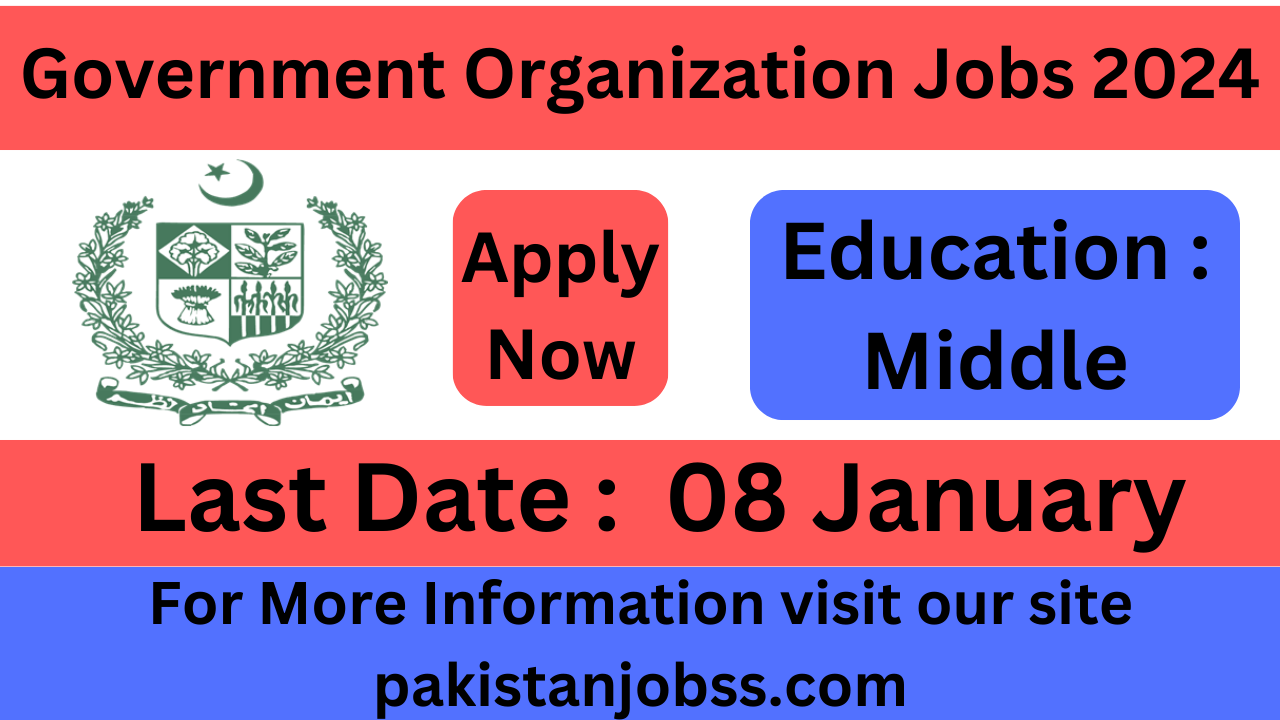 Government Organization Jobs 2024 Apply Online