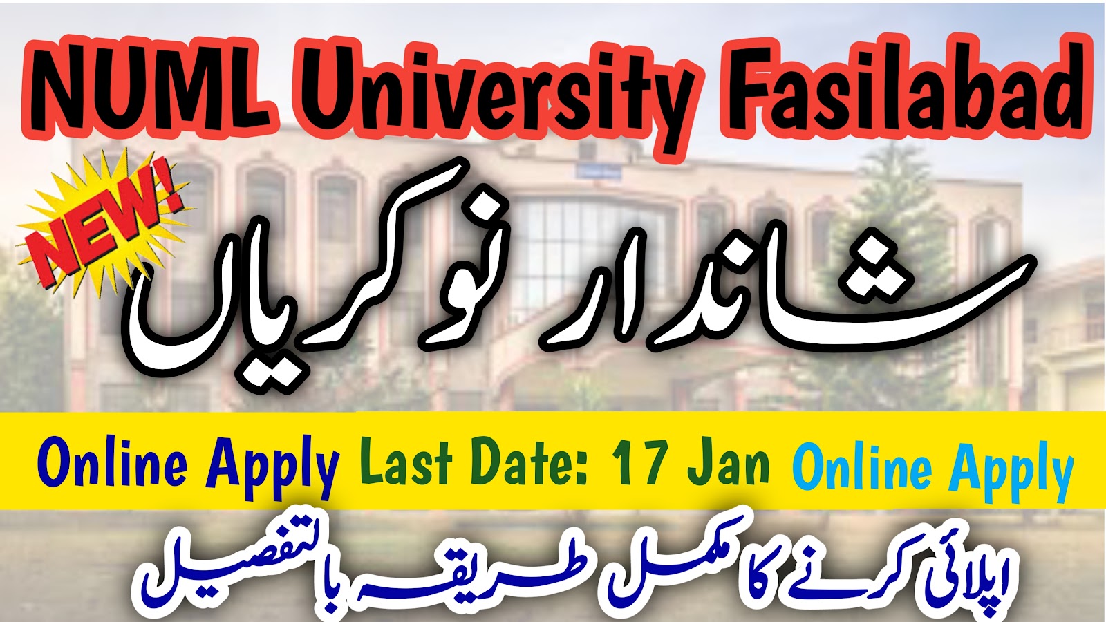 NUML Faisalabad Campus Jobs 2024 | Visiting Faculty Required