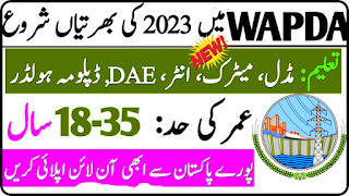 Latest WAPDA Jobs 2024 Advertisement Application Form