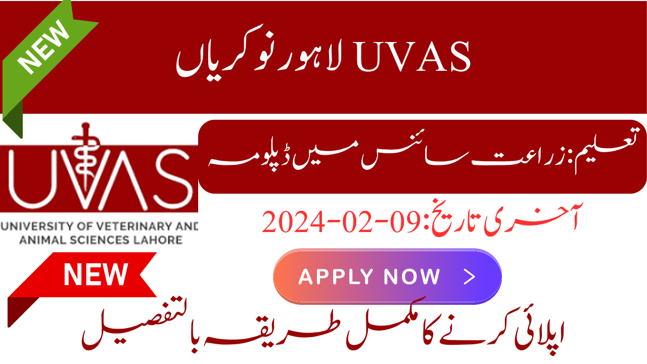 UVAS Lahore Jobs 2024