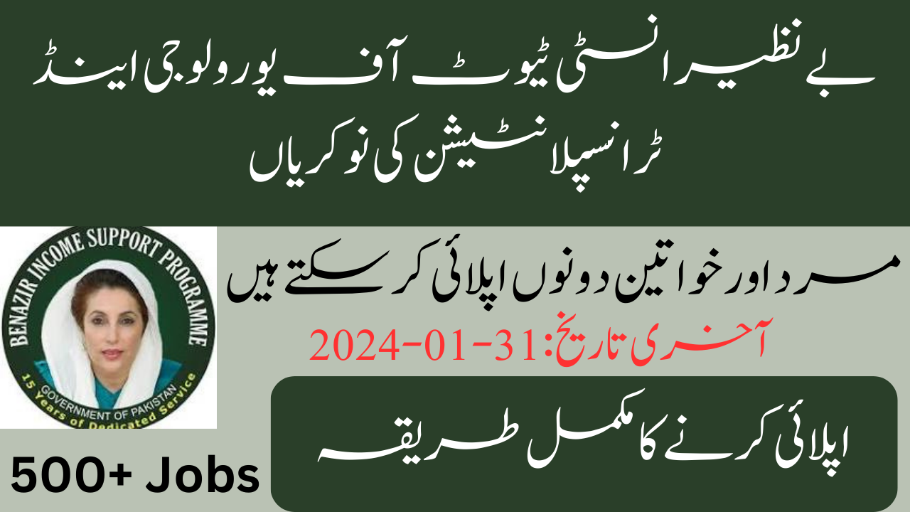 Benazir Institute of Urology & Transplantation Jobs 2024