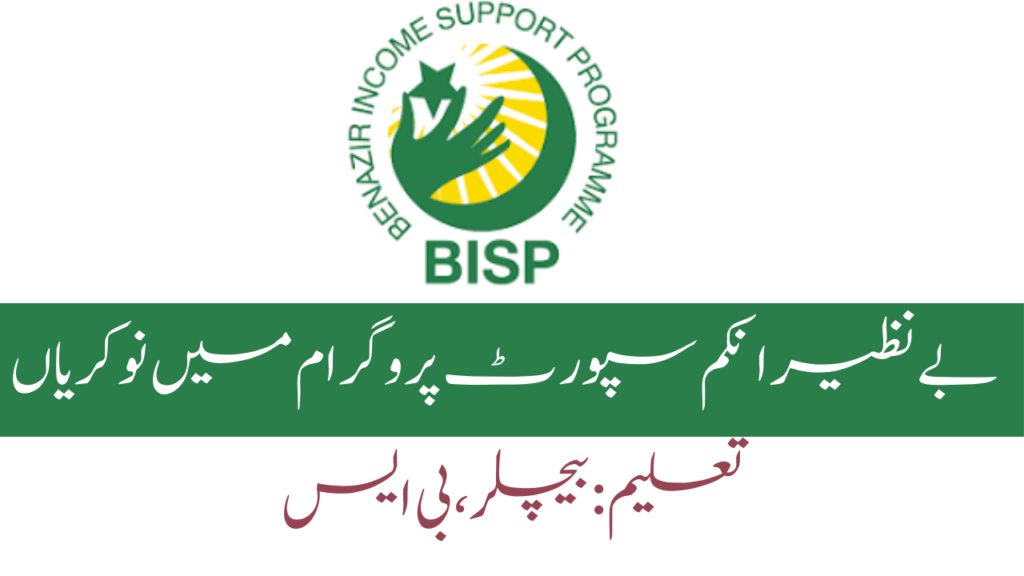 Benazir Income Support Programme Jobs 2024