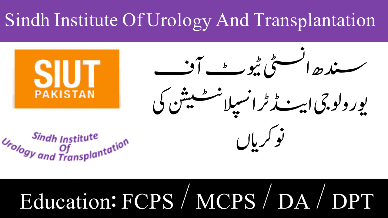 Sindh Institute Of Urology And Transplantation Jobs 2024