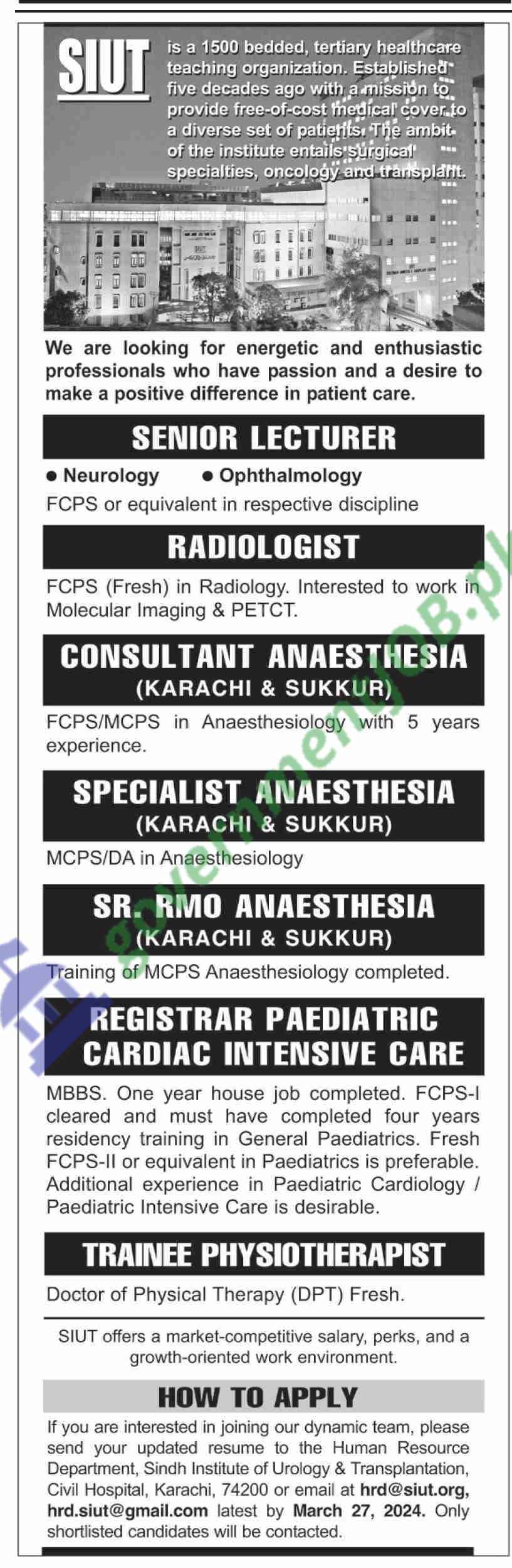 Sindh Institute Of Urology And Transplantation Jobs 2024