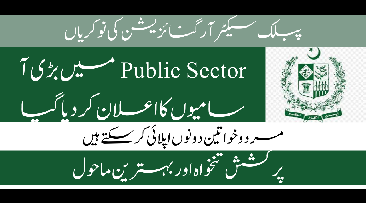 Public Sector Organization Jobs 2024