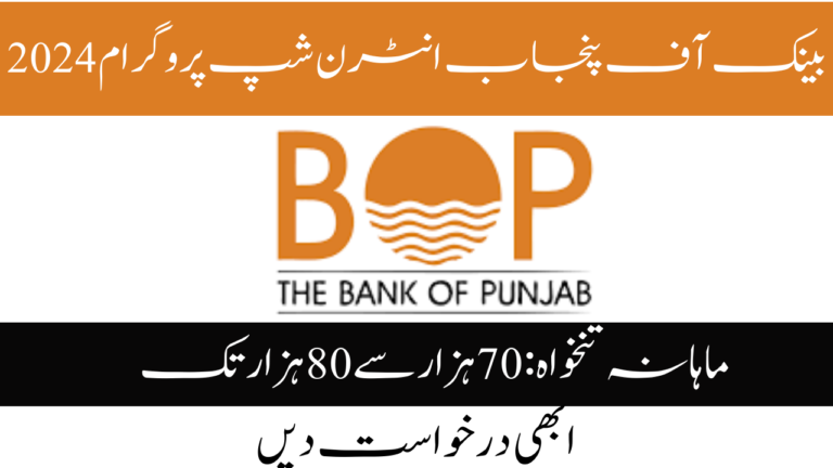 Bank of Punjab Internship Program 2024