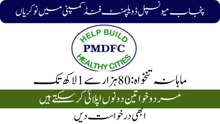 Punjab Municipal Development Fund Company Jobs 2024