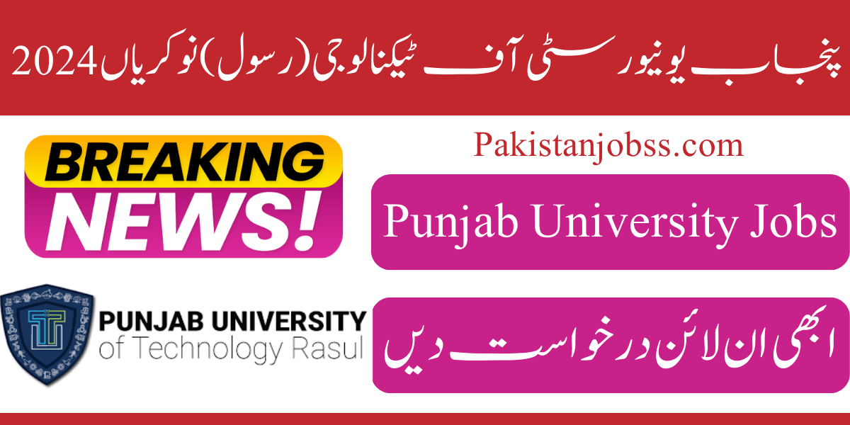 Punjab University Of Technology (Rasul) Jobs 2024